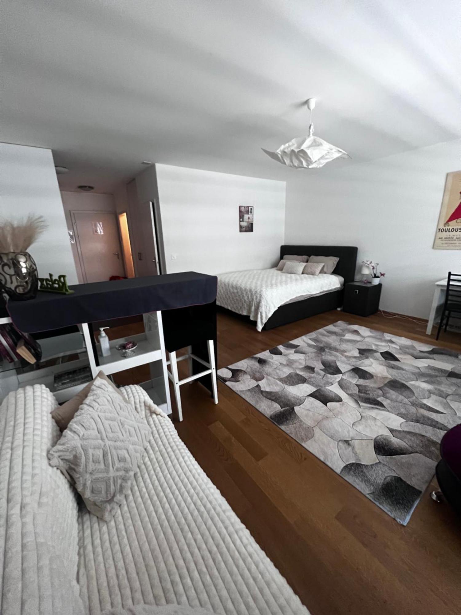 Apartments In Bern - Green Relax Екстериор снимка
