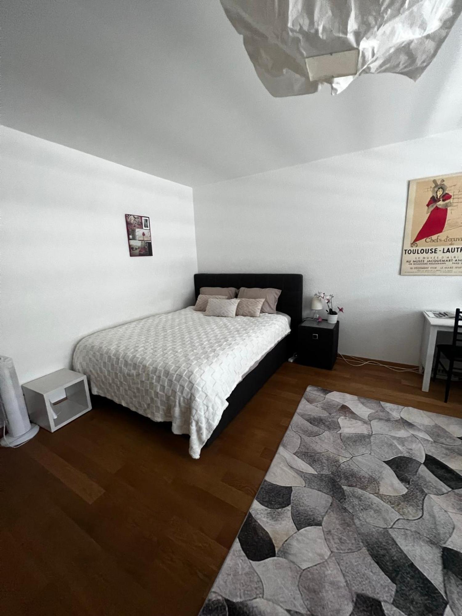 Apartments In Bern - Green Relax Екстериор снимка